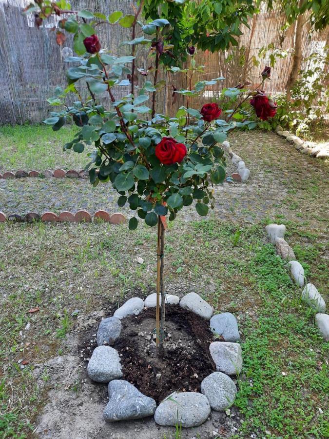 Appartement Au Jardin De *