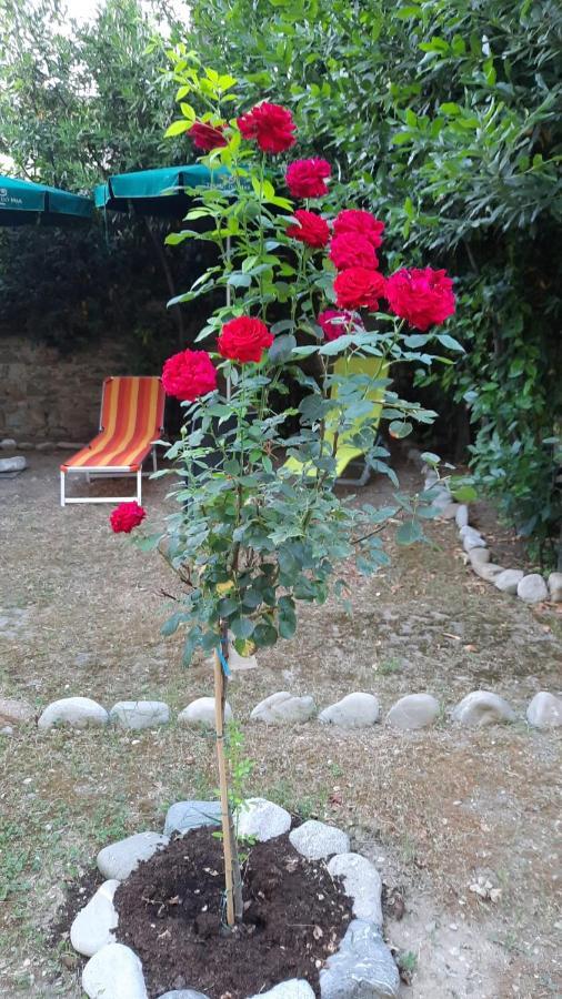 Au Jardin De Appartement Florence
