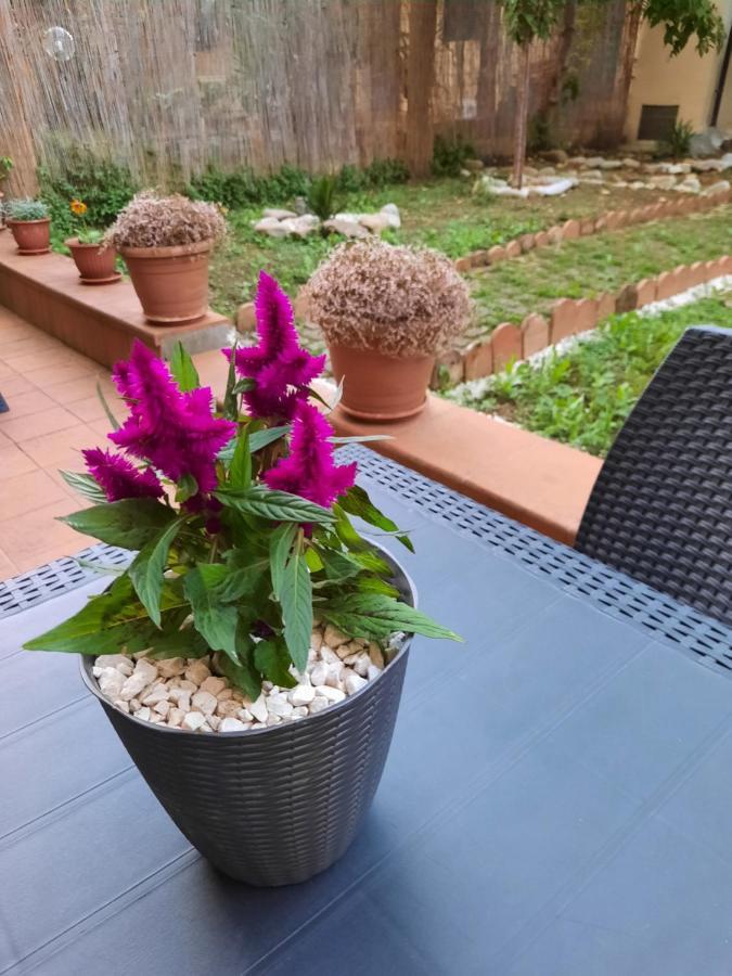 Au Jardin De Appartement